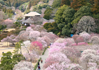 5 DAYS NORTH KANTO PRIVATE TOUR