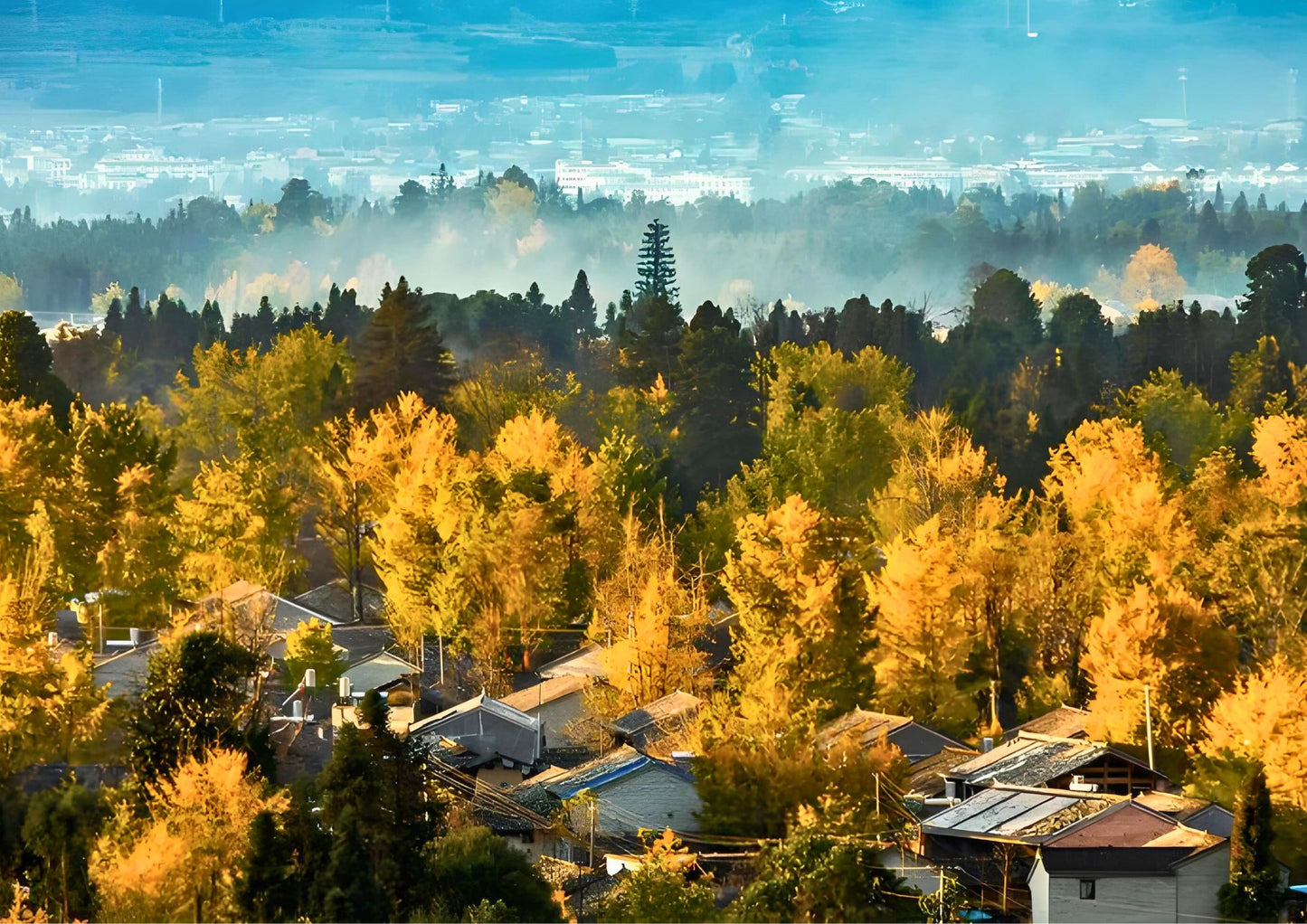 14 DAYS XISHUANGBANNA PRIVATE TOUR