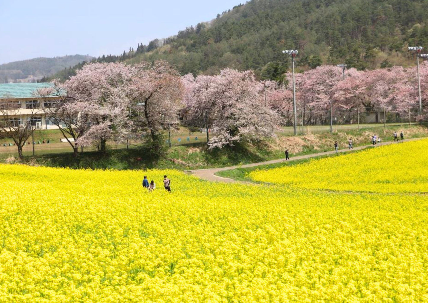 10天甲信越私人包團