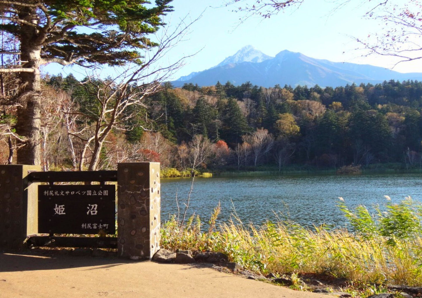 7 天北海道道北私人包團