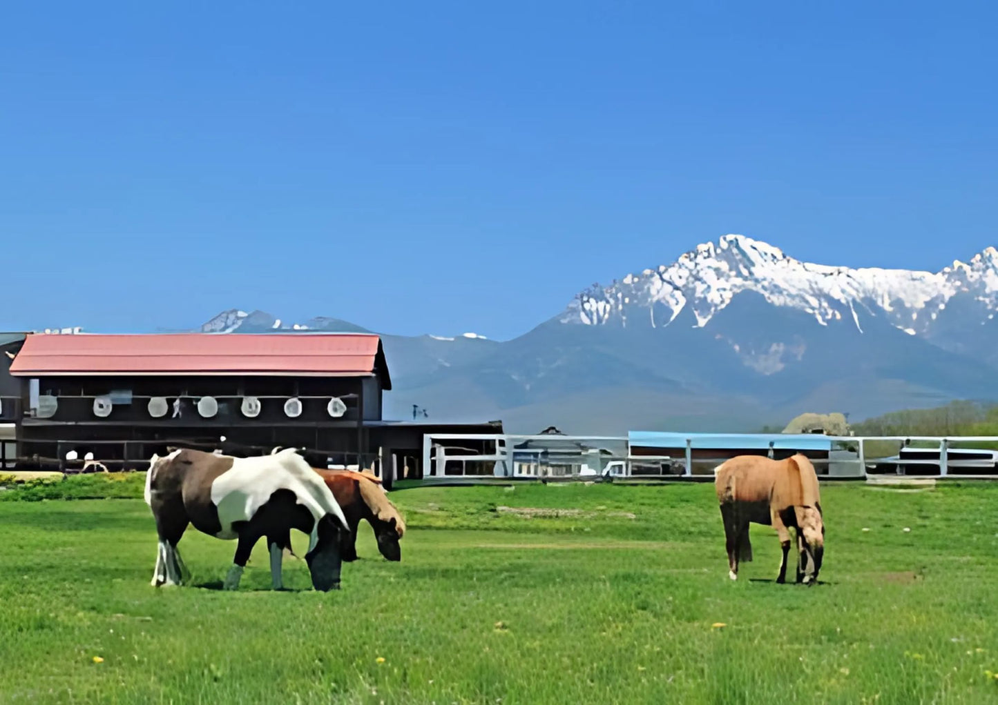10天甲信越私人包團
