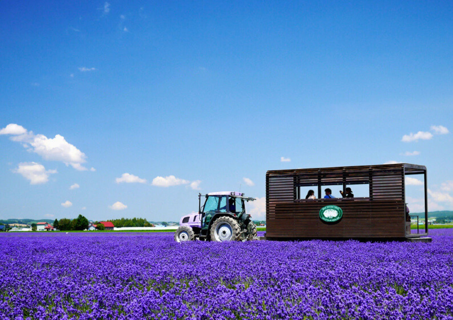 7 DAYS CENTRAL HOKKADIO PRIVATE TOUR