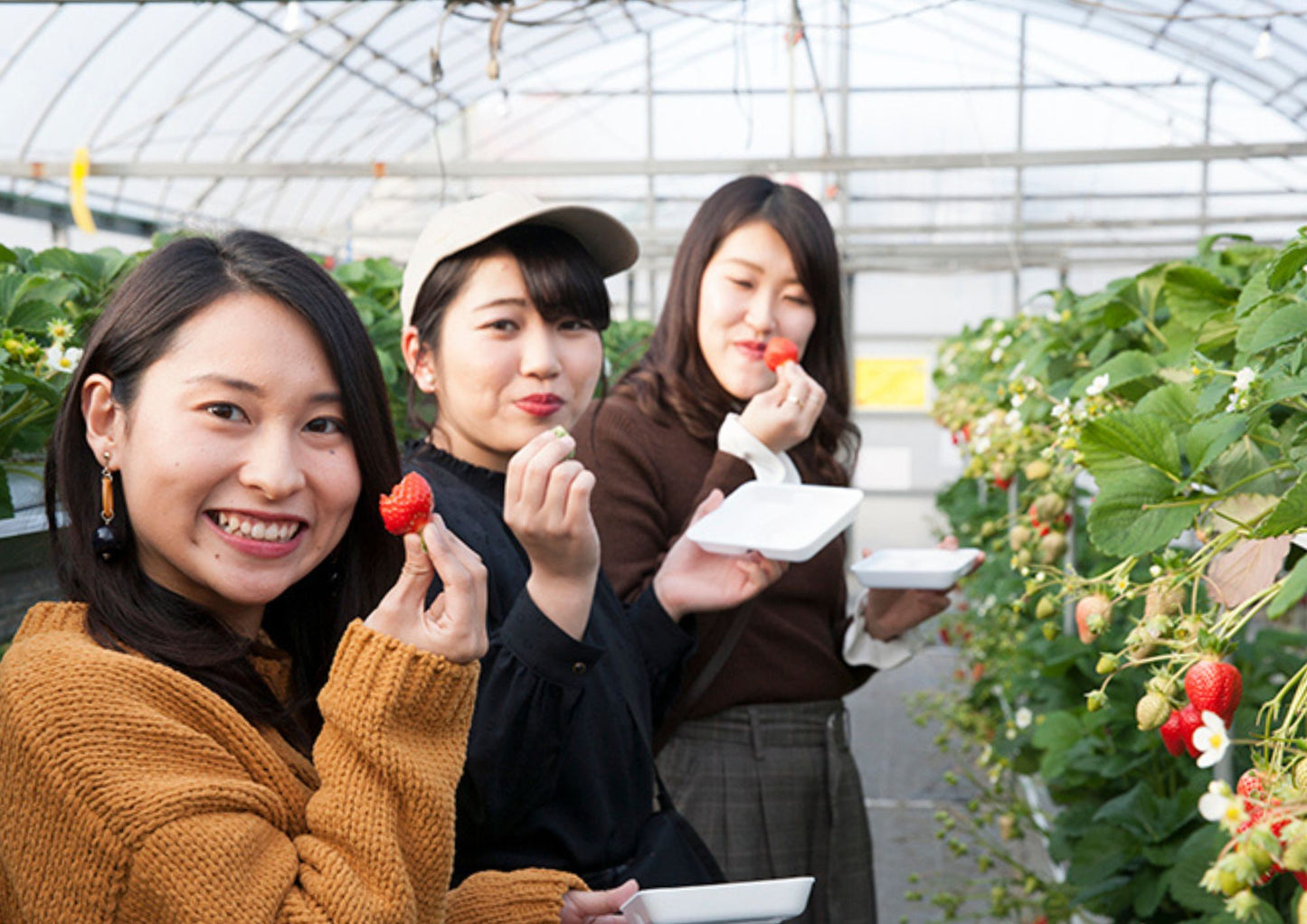 7日間の四国プライベートチャーター