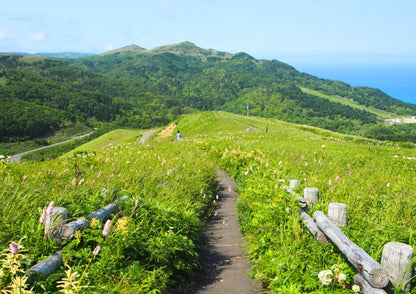 8 DAYS NORTH HOKKADIO PRIVATE TOUR