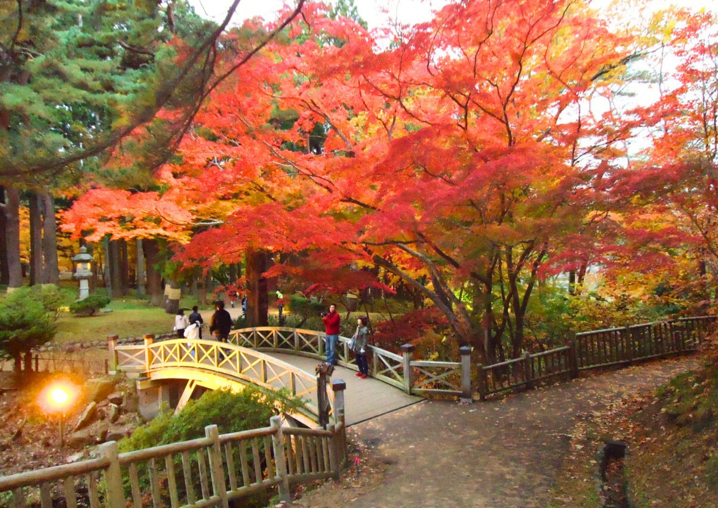 6 DAYS SOUTH HOKKADIO PRIVATE TOUR