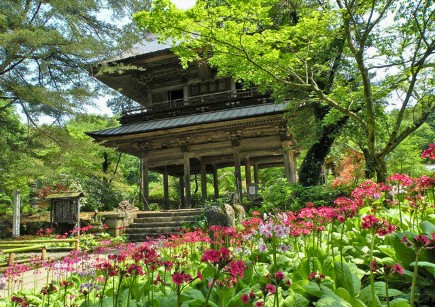 7 DAYS NORTH KANTO PRIVATE TOUR