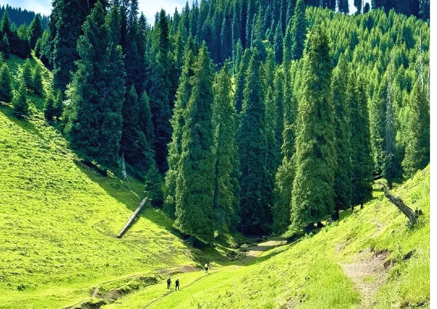 10 DAYS NORTH & WEST XINJIANG PRIVATE TOUR