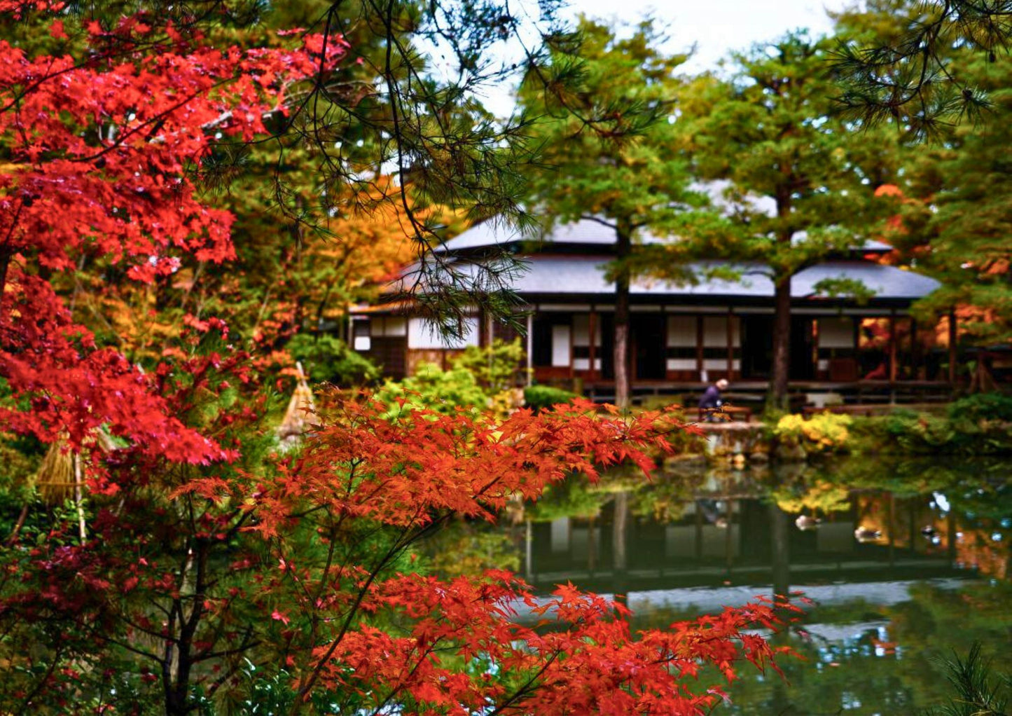 10天甲信越私人包團