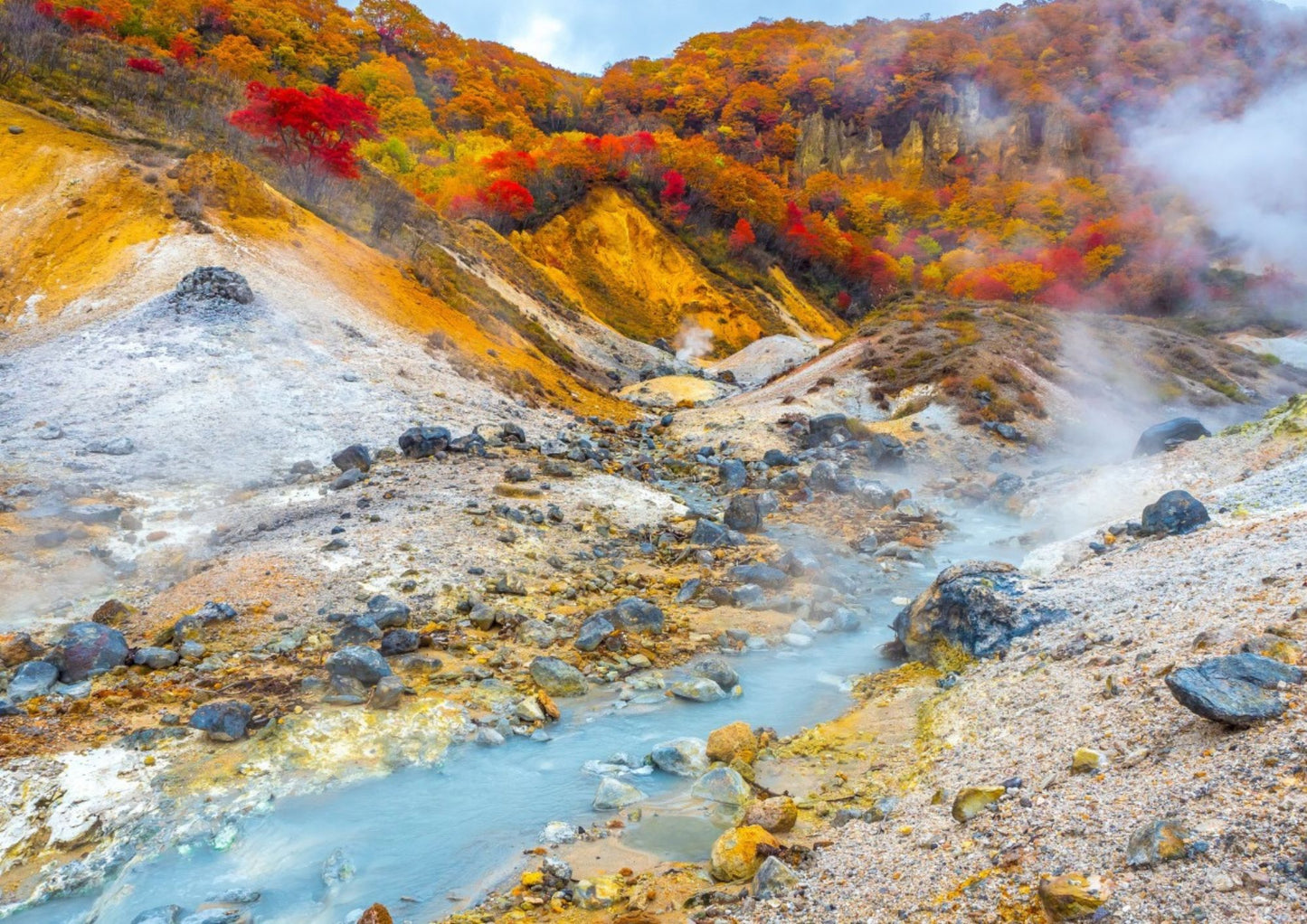 6 天北海道道南私人包團