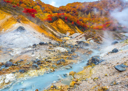 7 天北海道道南私人包團