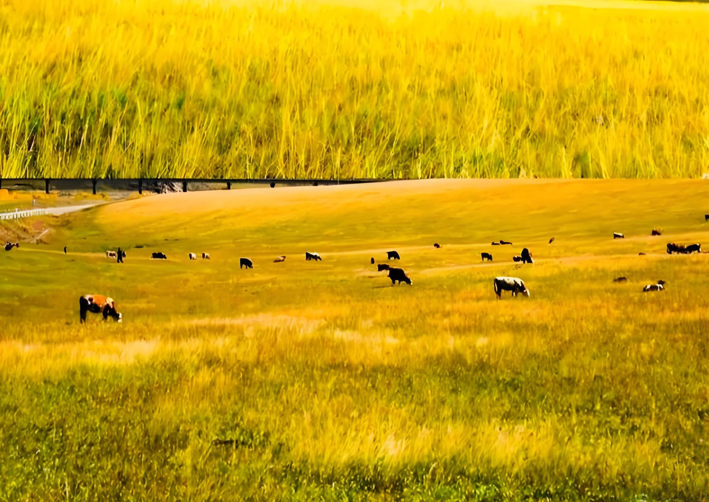 7 DAYS SOUTH XINJIANG PRIVATE TOUR