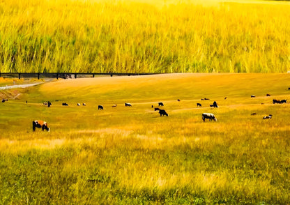 7 DAYS SOUTH XINJIANG PRIVATE TOUR