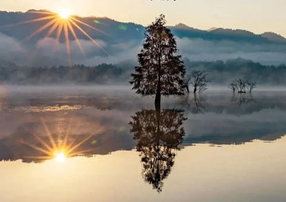 7日間の黄山プライベートツアー