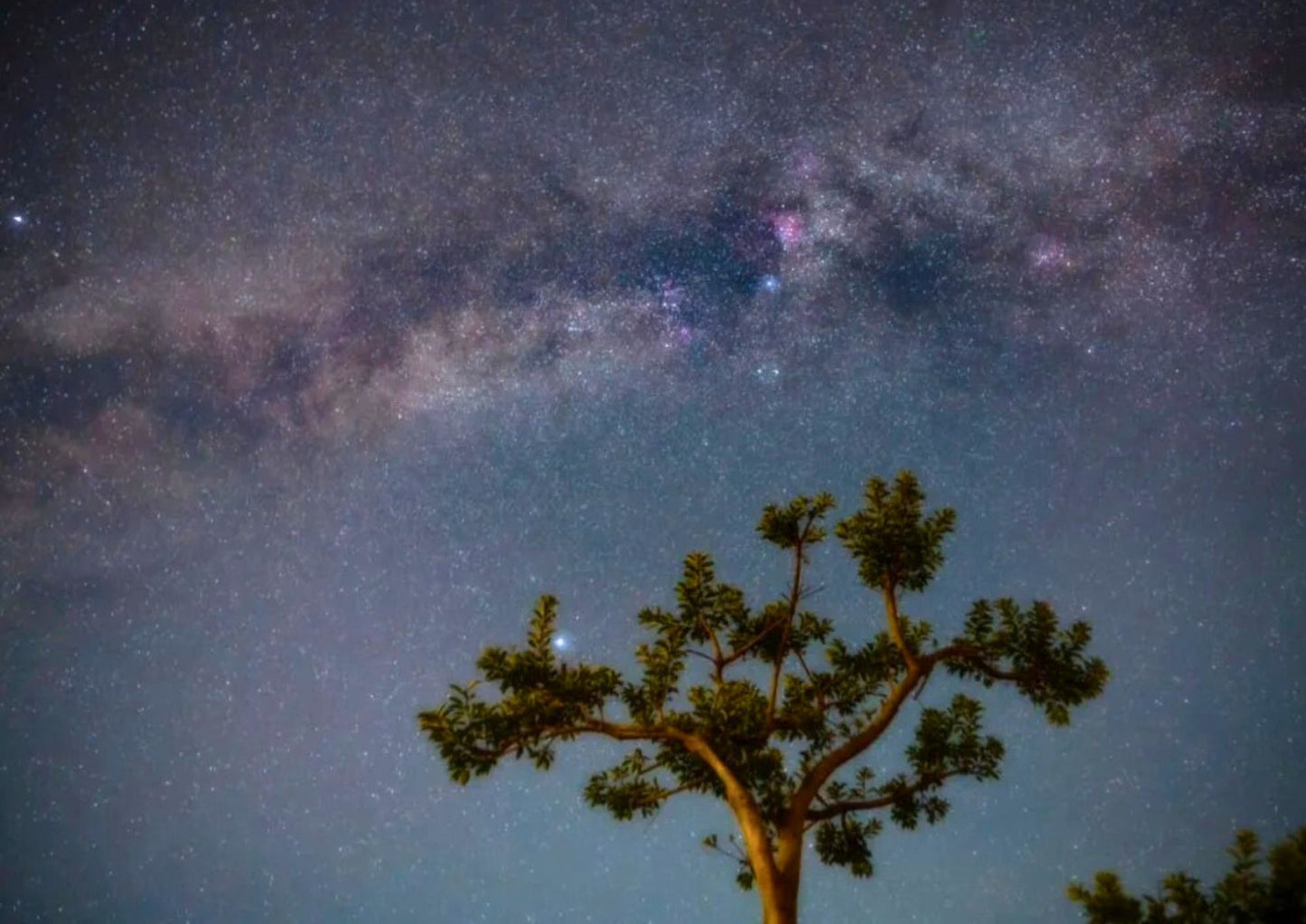 3 DAYS GUANGZHOU & CONGHUA PRIVATE TOUR