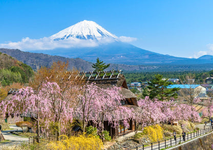 10天甲信越私人包團