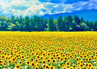 10天甲信越私人包團