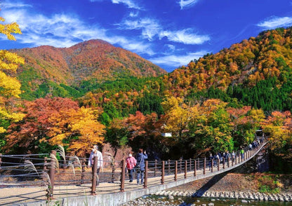 8天白川鄉私人包團