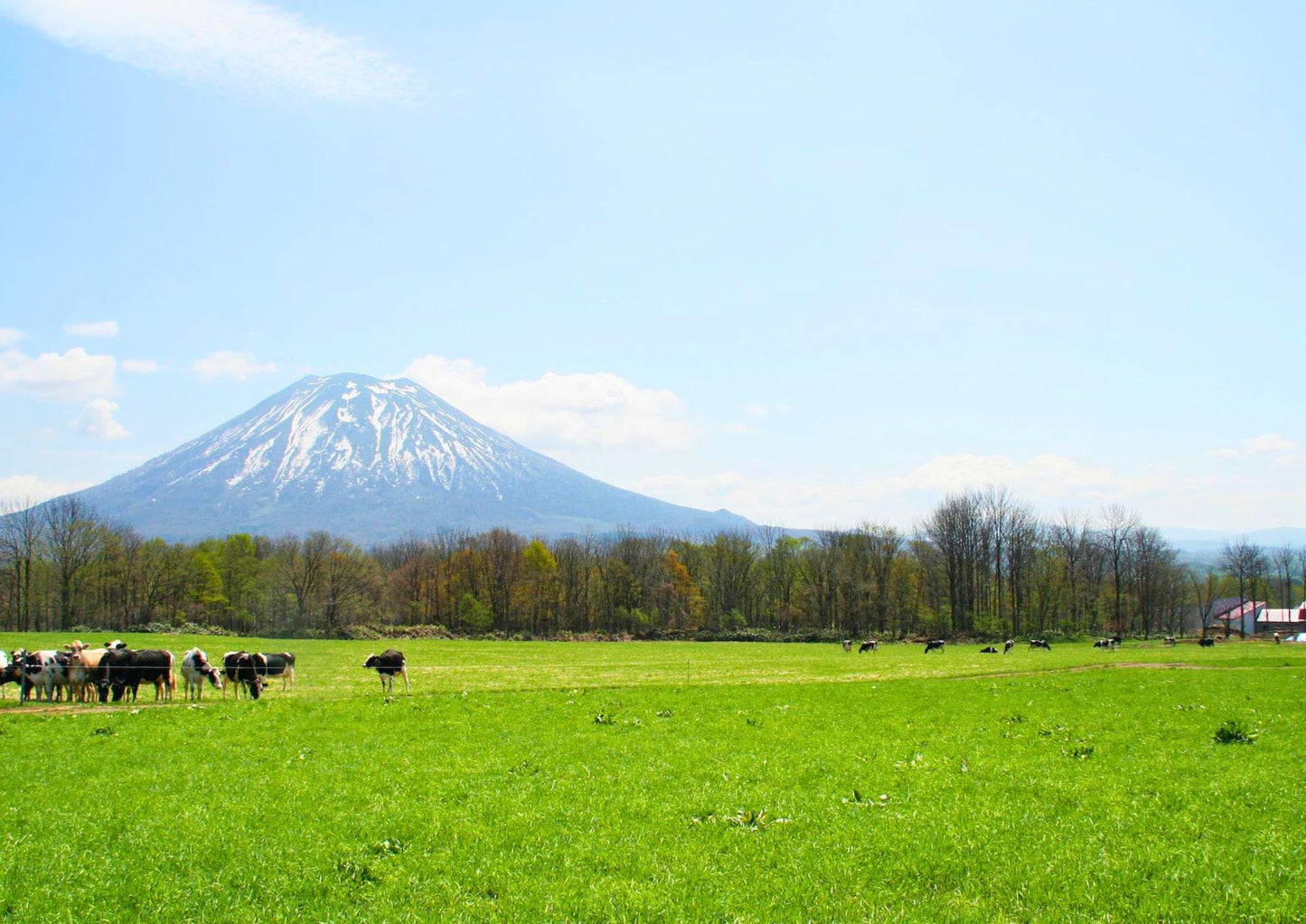 6 天北海道道南私人包團