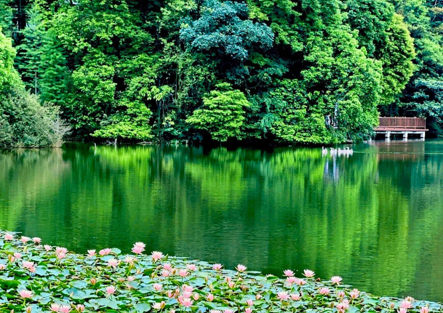 3 DAYS GUANGZHOU & CONGHUA PRIVATE TOUR