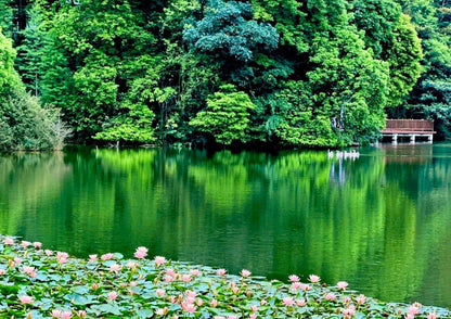 3 DAYS GUANGZHOU & CONGHUA PRIVATE TOUR