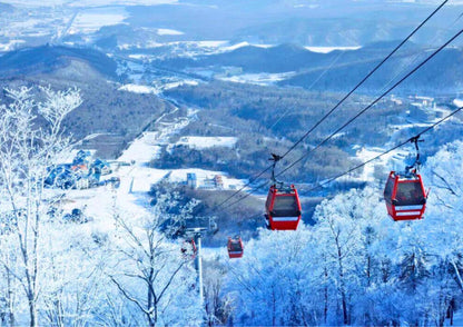 8 DAYS HARBIN PRIVATE TOUR