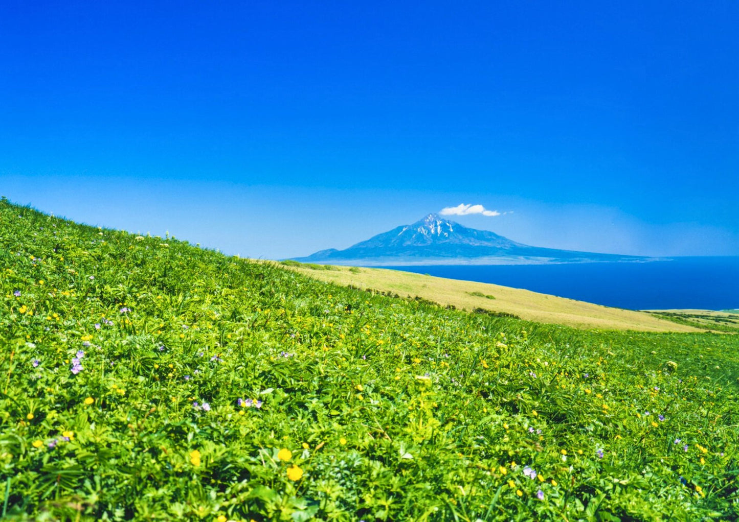 7 天北海道道北私人包團