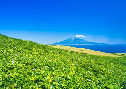 7 DAYS NORTH HOKKADIO PRIVATE TOUR