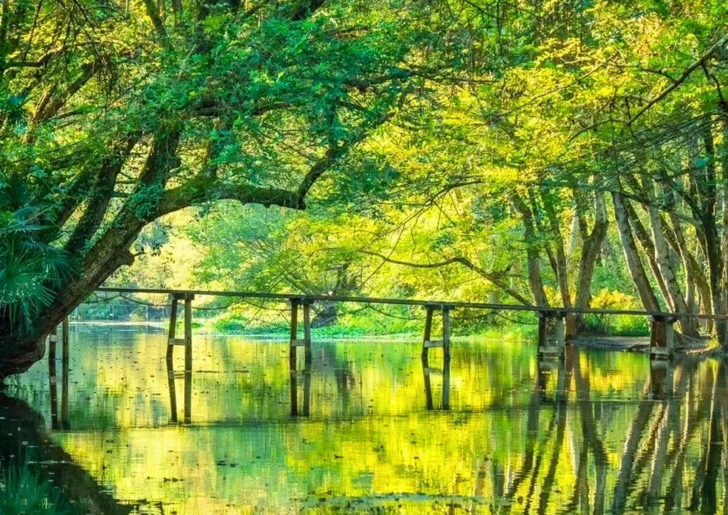 7日間の黄山プライベートツアー