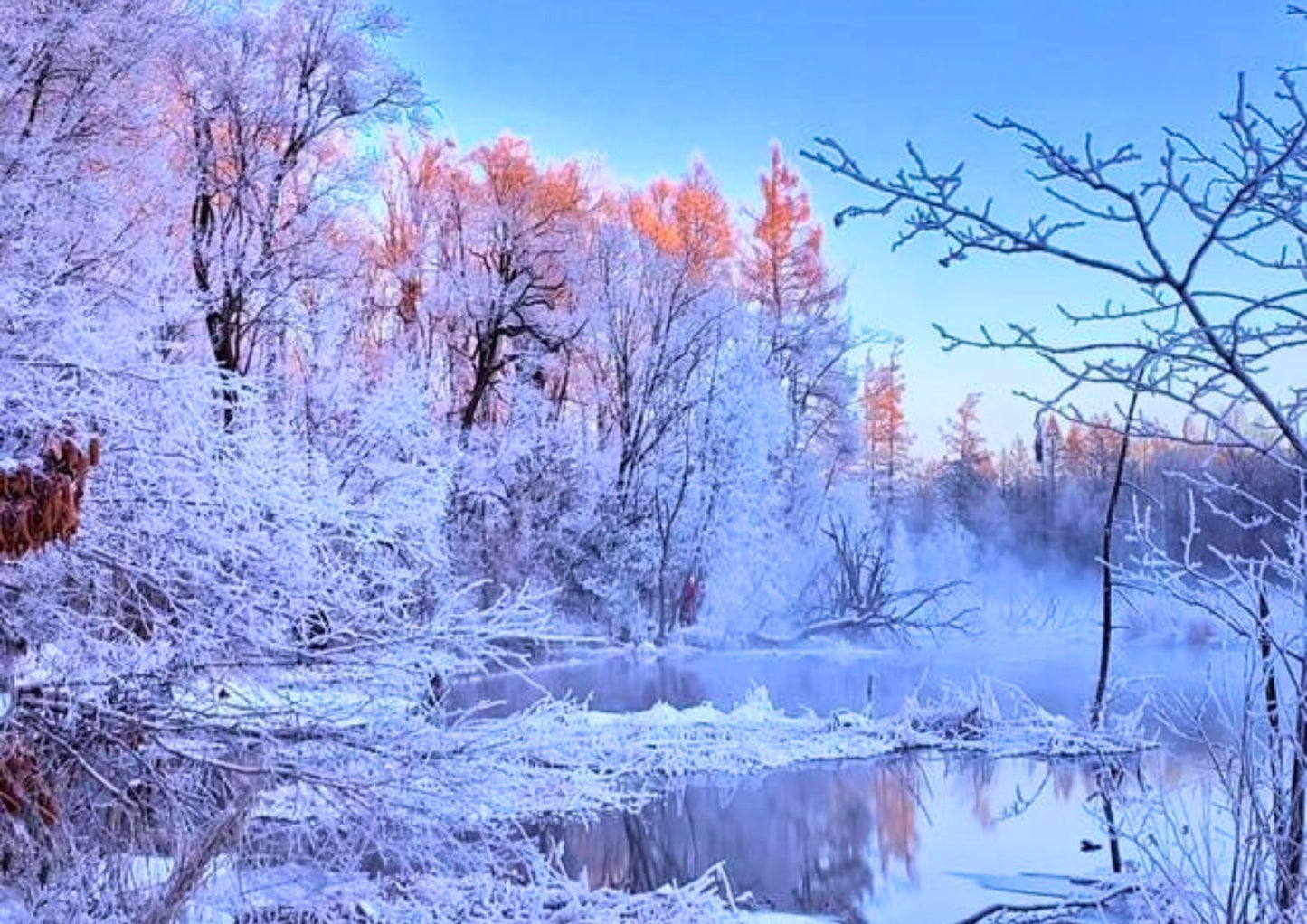 8 DAYS HARBIN PRIVATE TOUR