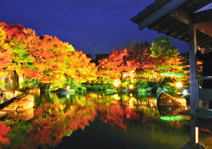 5 DAYS WEST KANSAI PRIVATE TOUR