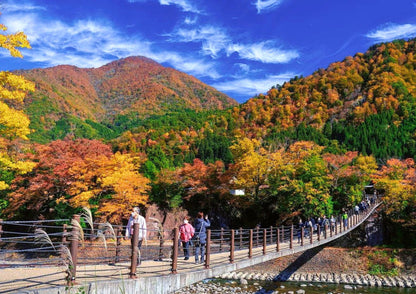 5天白川鄉私人包團