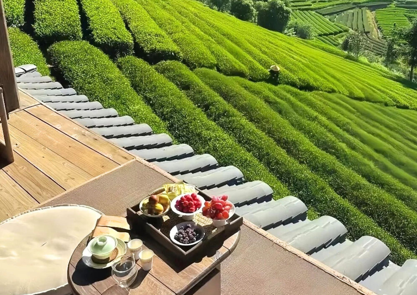 4 DAYS QINGYUAN PRIVATE TOUR