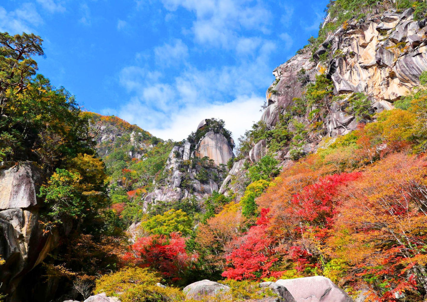 10天甲信越私人包團
