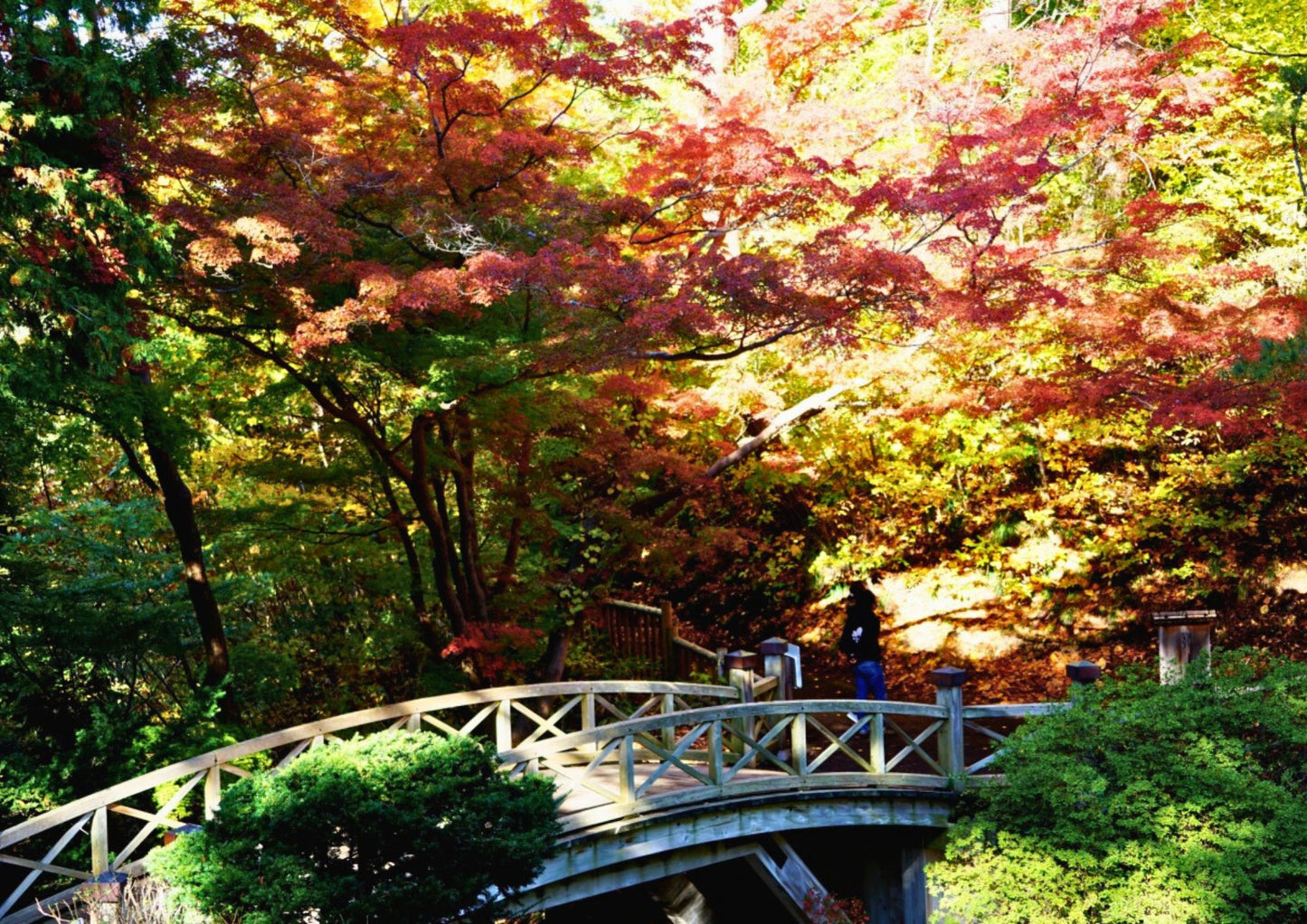 6 天北海道道南私人包團