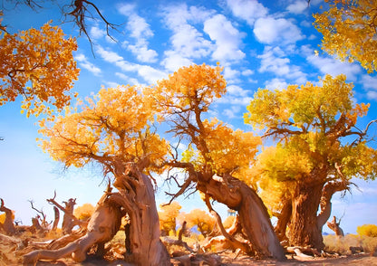 8 DAYS SOUTH XINJIANG PRIVATE TOUR