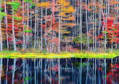 13天甲信越私人包團