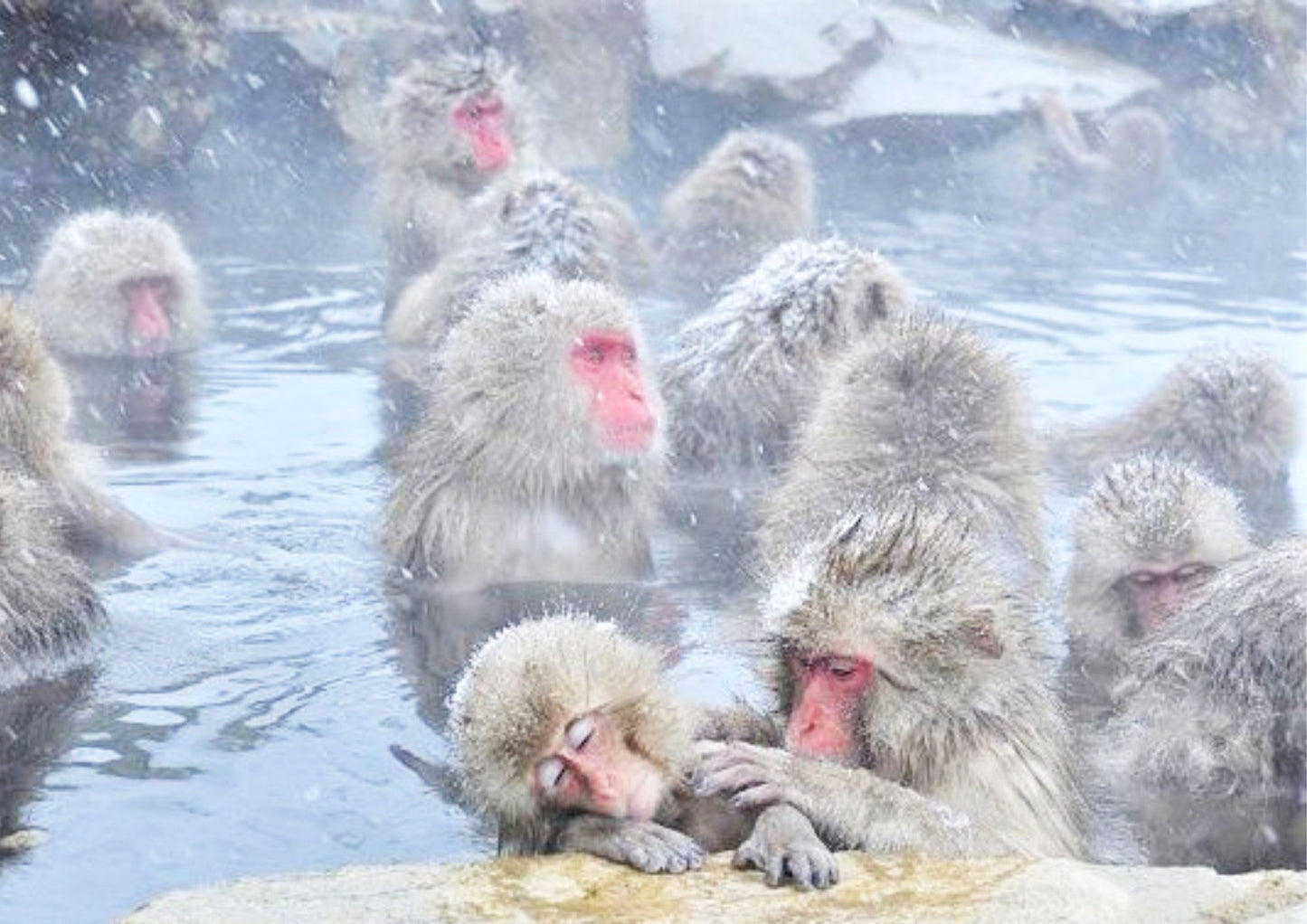 14日間の甲信越プライベートツアー