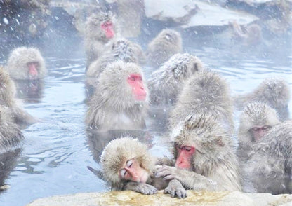 14日間の甲信越プライベートツアー