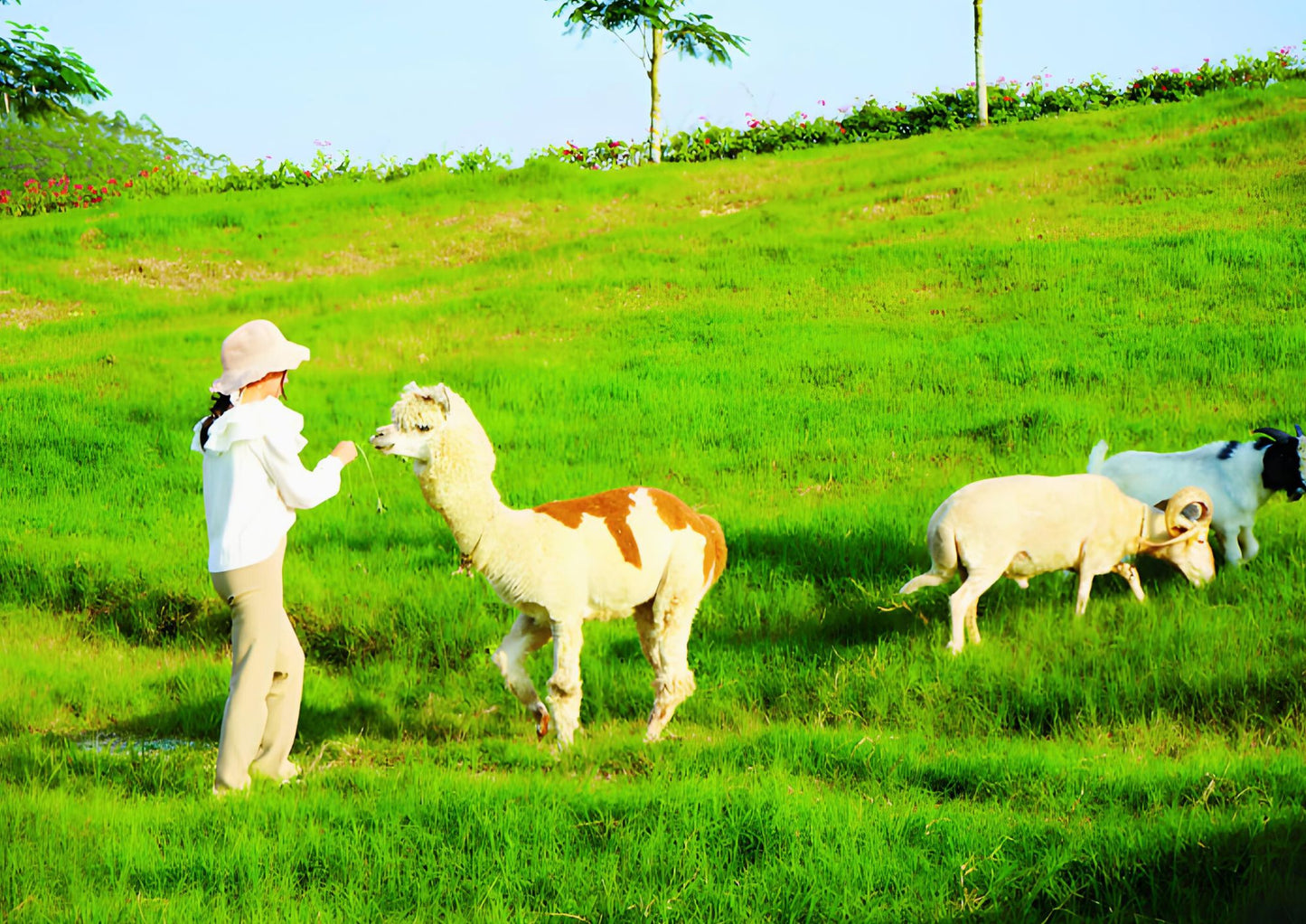 4 DAYS HUIZHOU PRIVATE TOUR