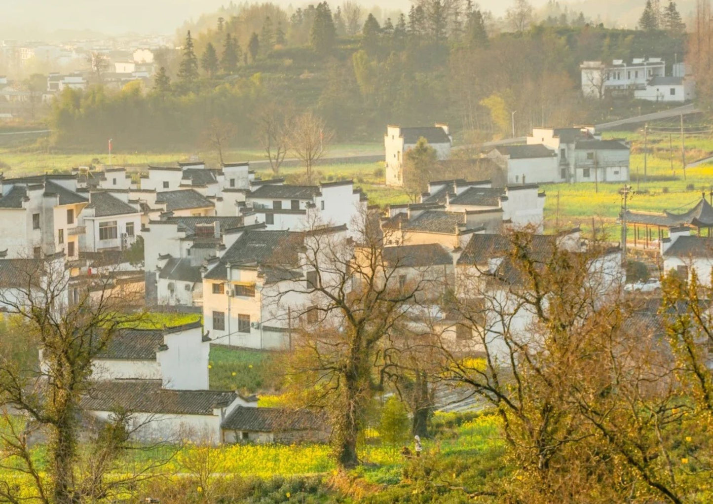 7日間の黄山プライベートツアー