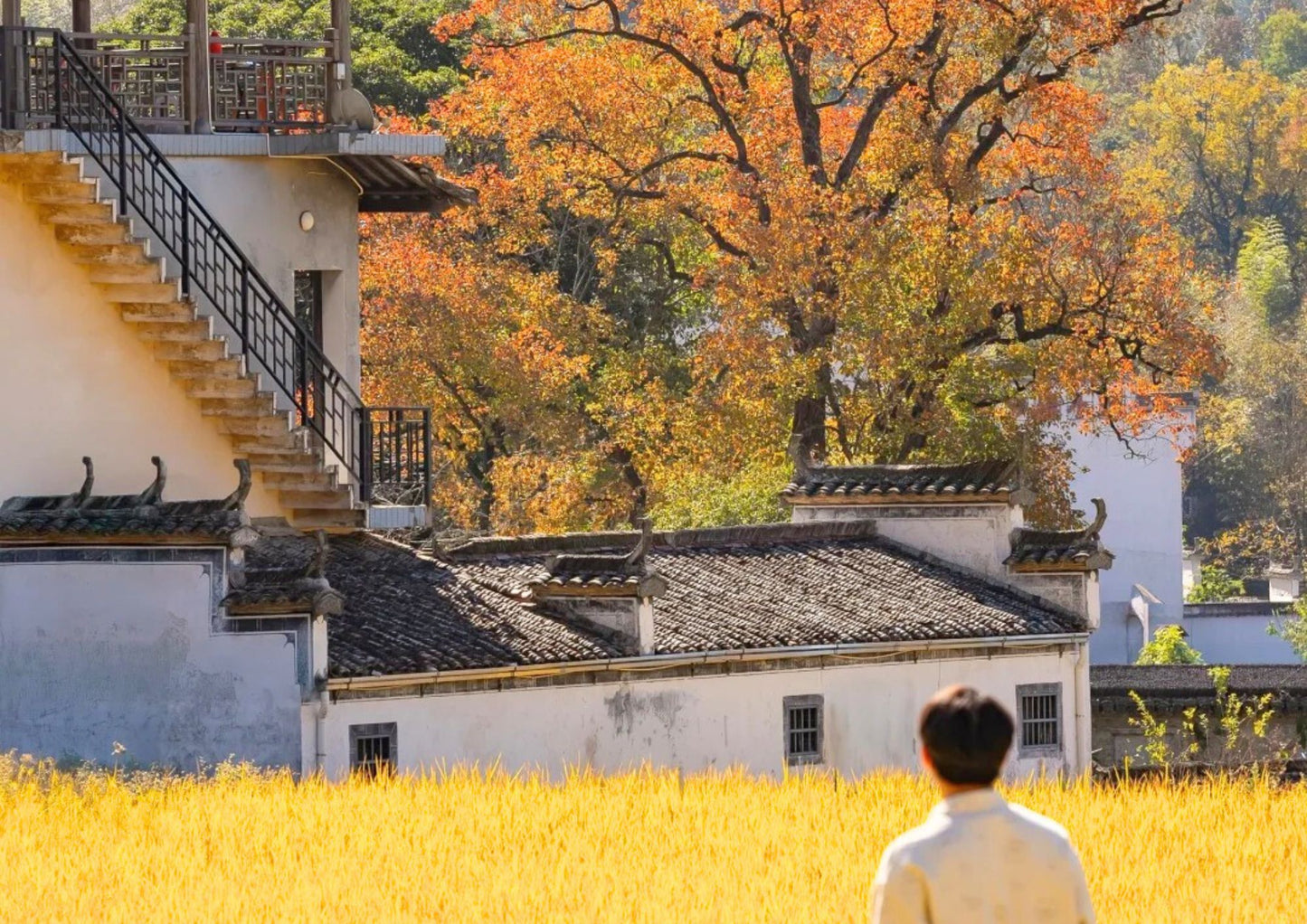 7日間の黄山プライベートツアー