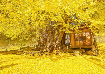 10天甲信越私人包團