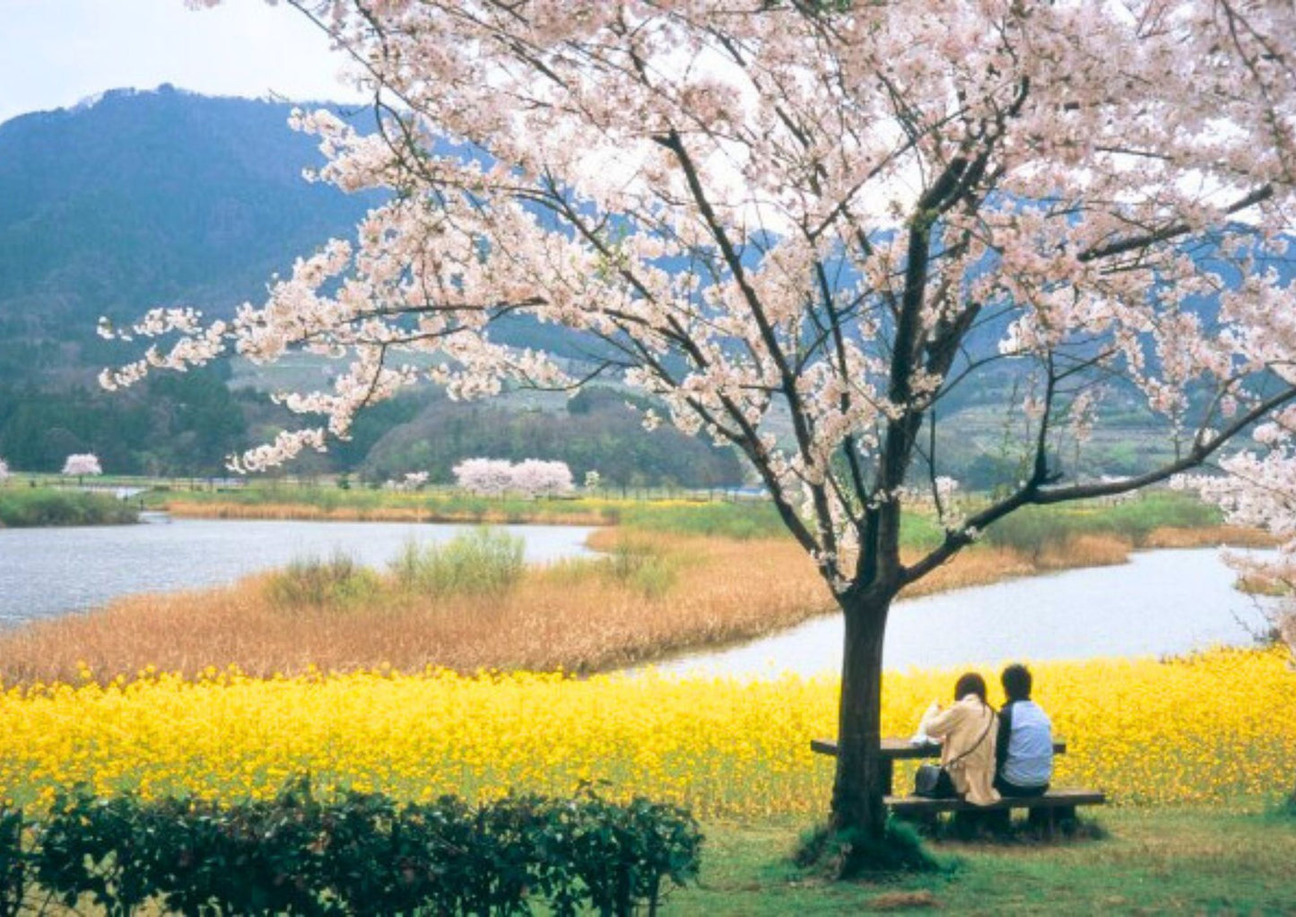 10天甲信越私人包團