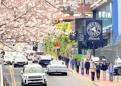 4 DAYS BUSAN PRIVATE TOUR