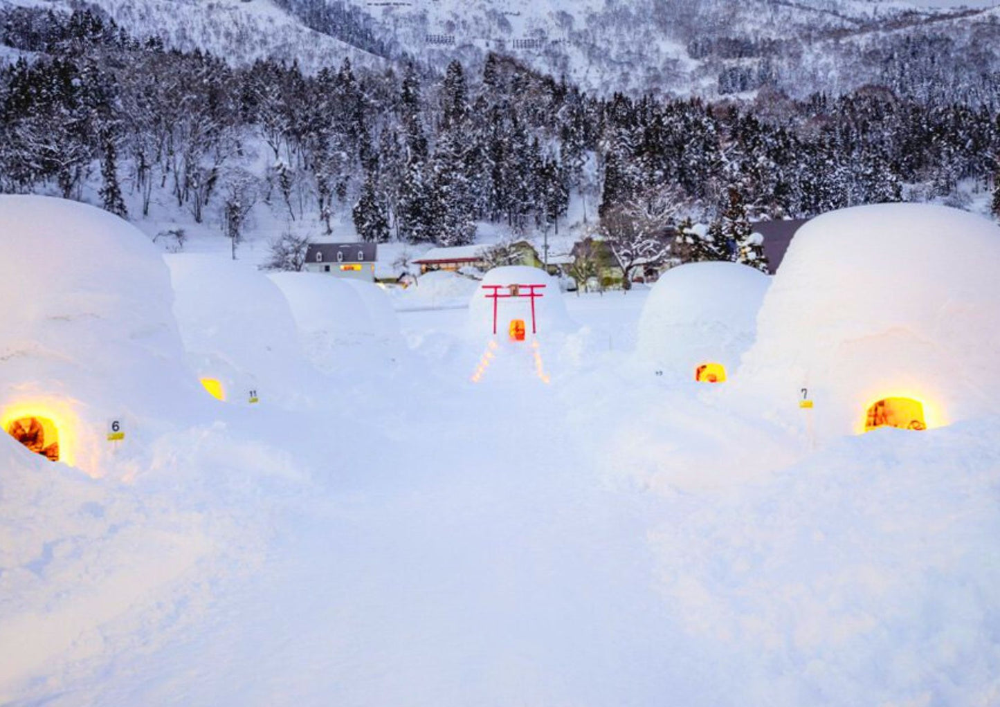 10天甲信越私人包團