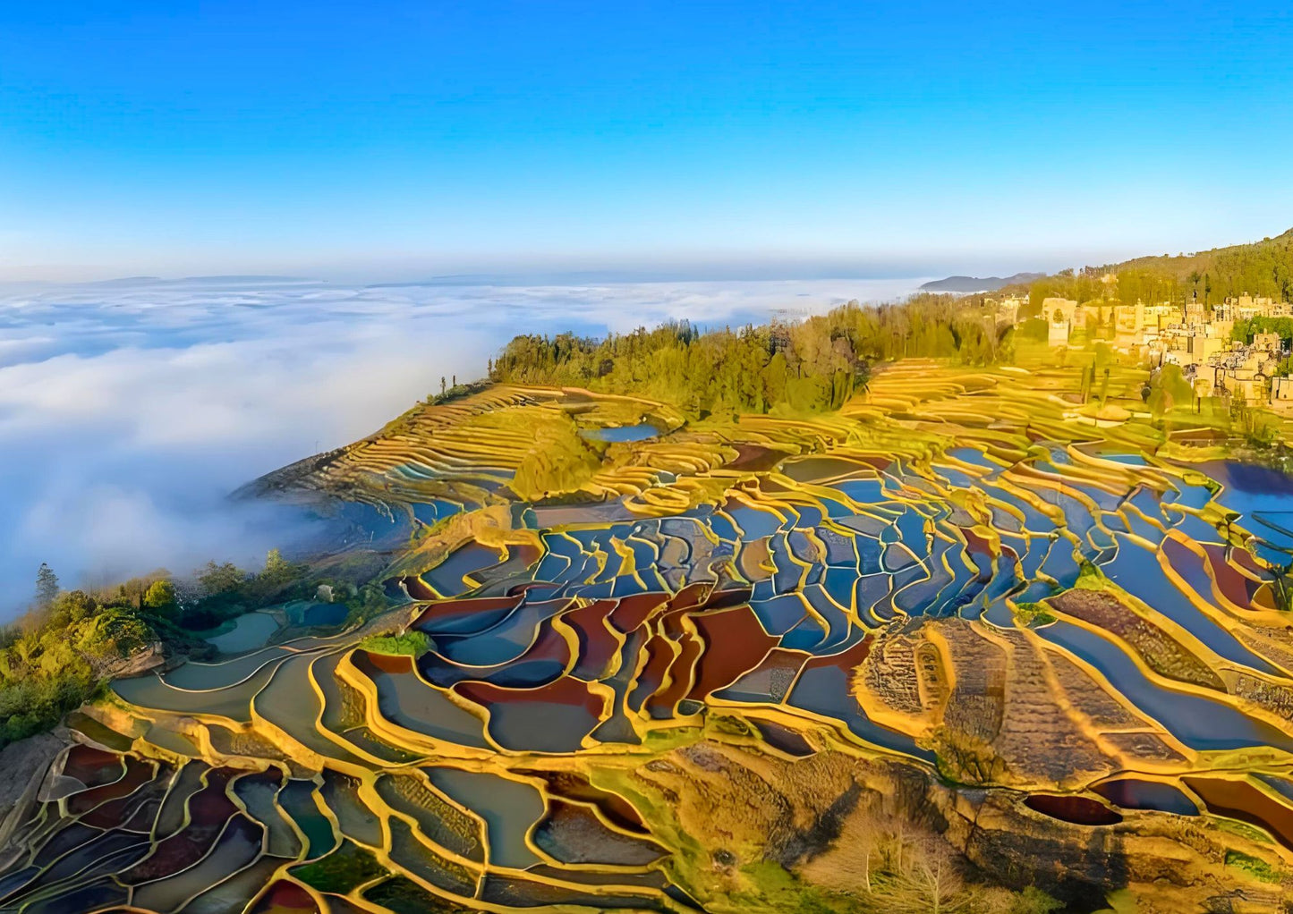 14 DAYS XISHUANGBANNA PRIVATE TOUR