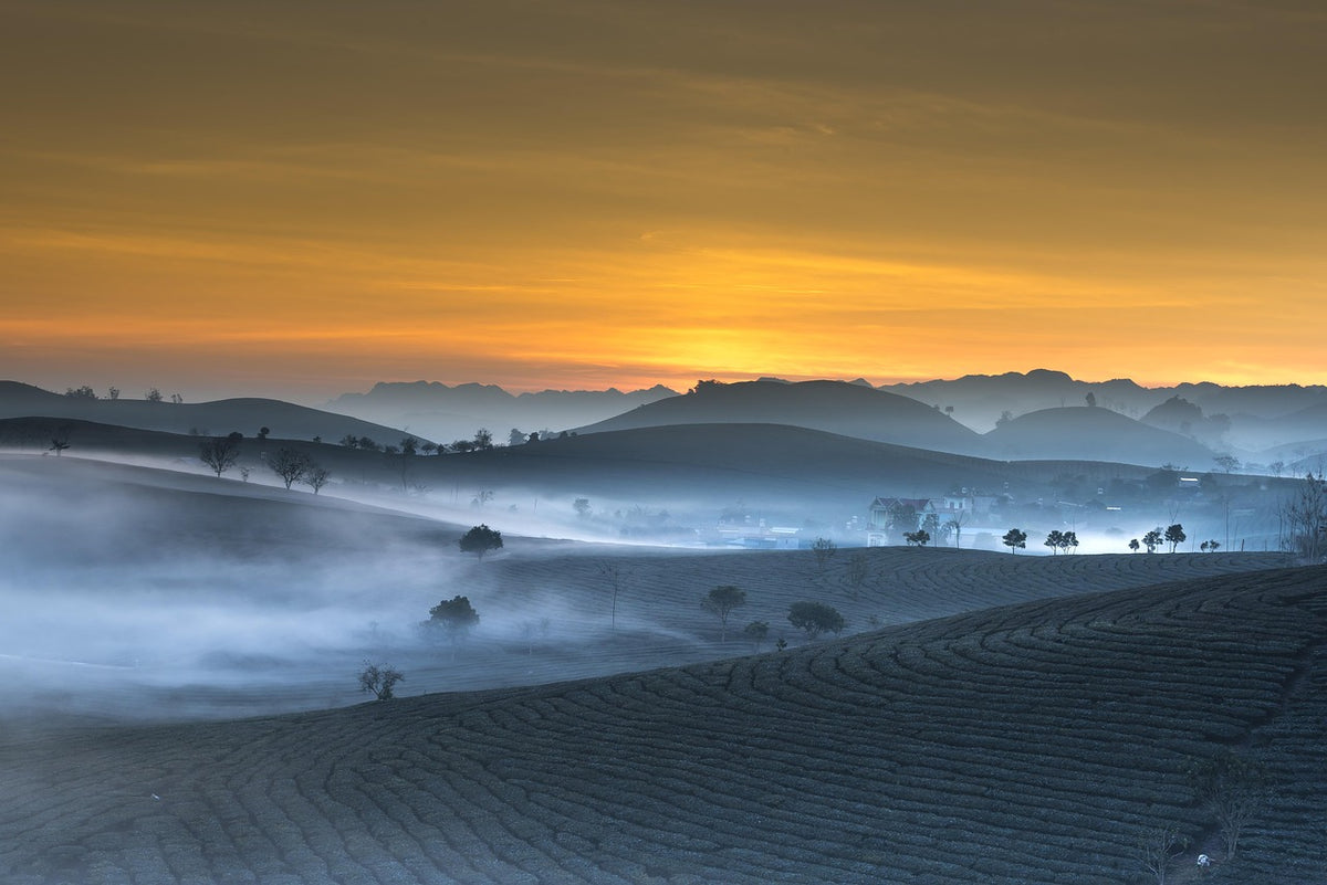 Private tour in Jiangxi