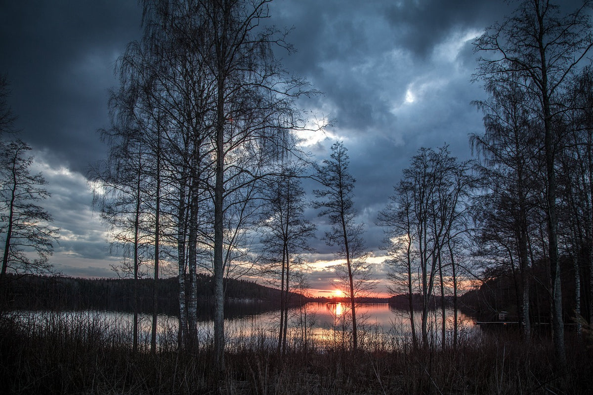 Private tour in Finland